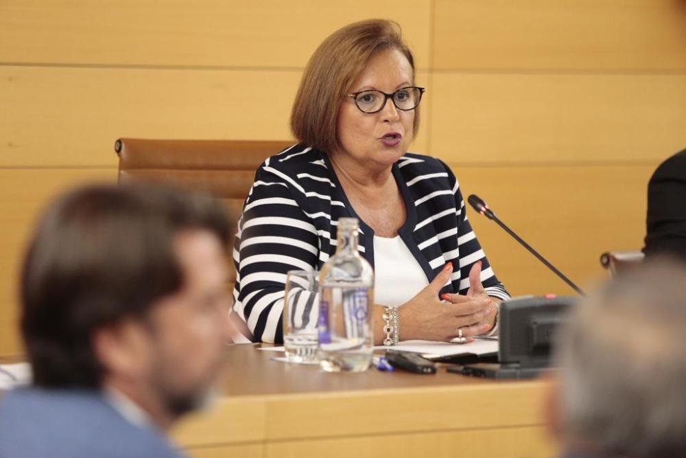 Pleno extraordinario en el Cabildo de Tenerife