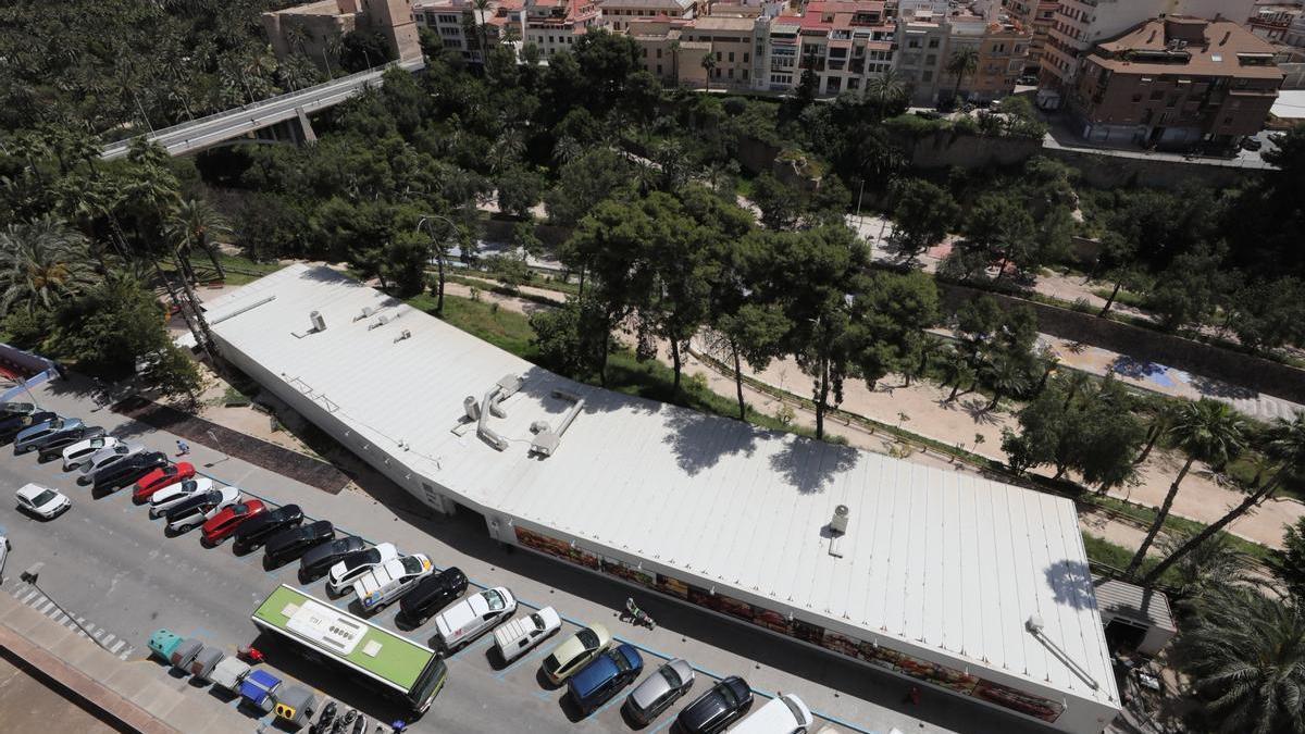 ELCHE MERCADO CENTRAL PROVISIONAL ELCHE