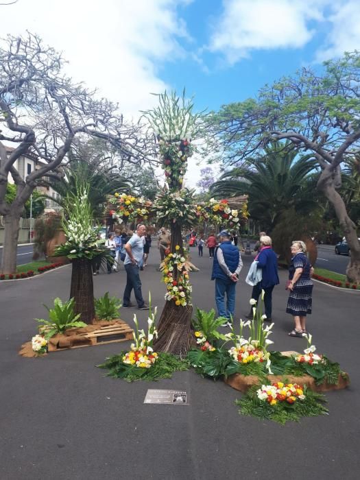 Concurso de Cruces de Flores Naturales