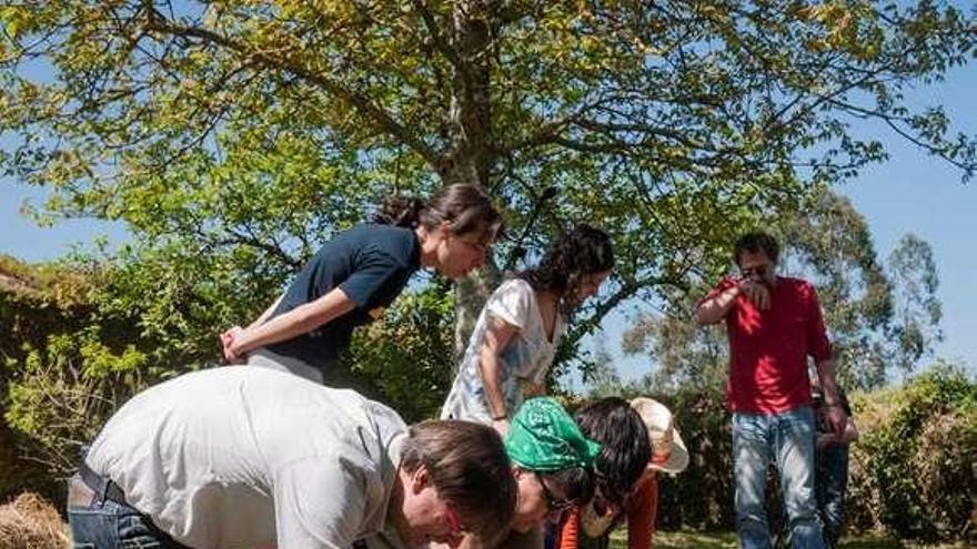 Los periodistas, ayer, durante las clases de cultivo. / la opinión