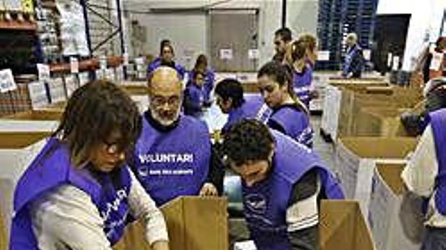 Voluntaris treballant en el gran recapte de l&#039;any passat.