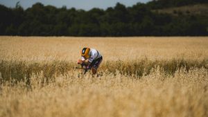 Remco Evenepoel, camino de la victoria
