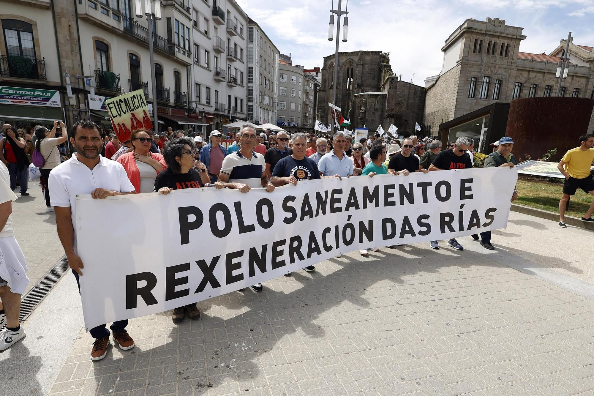 Miles de gallegos marchan de Pontevedra hasta Lourizán en protesta por las celulosas de Ence y Altri
