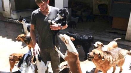 El abandono de un cachorro al día agrava el colapso de la protectora de  Xàtiva - Levante-EMV