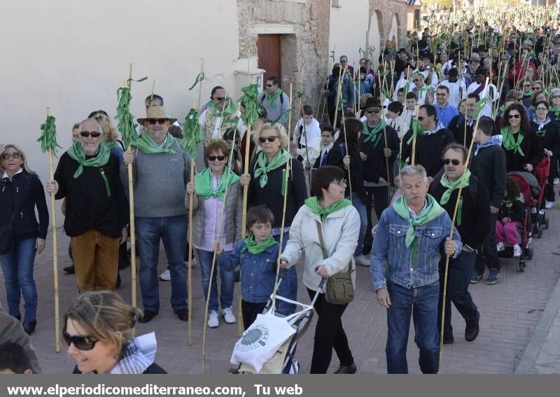 GALERÍA DE FOTOS - Romería Magdalena 2014 (5)