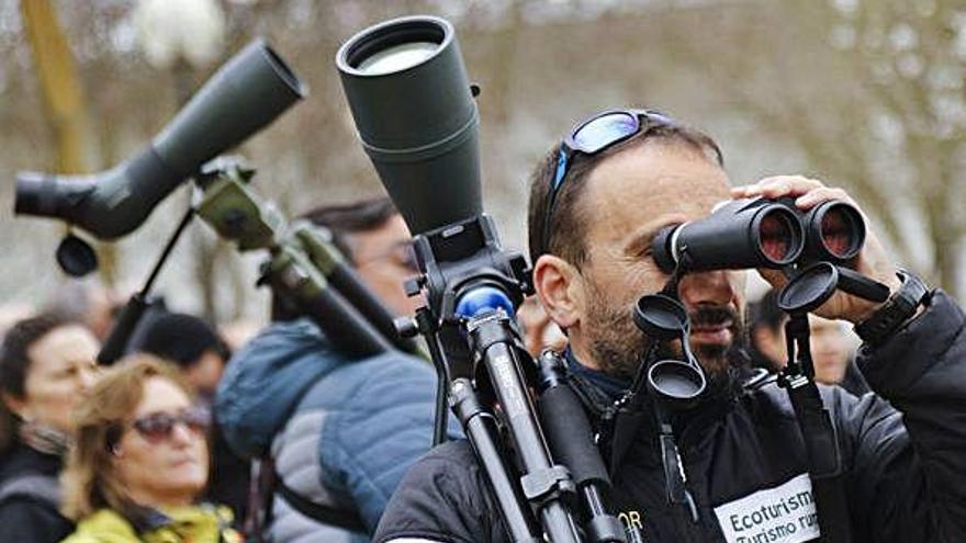 Uno de los monitores observa una de las aves a través de sus prismáticos.