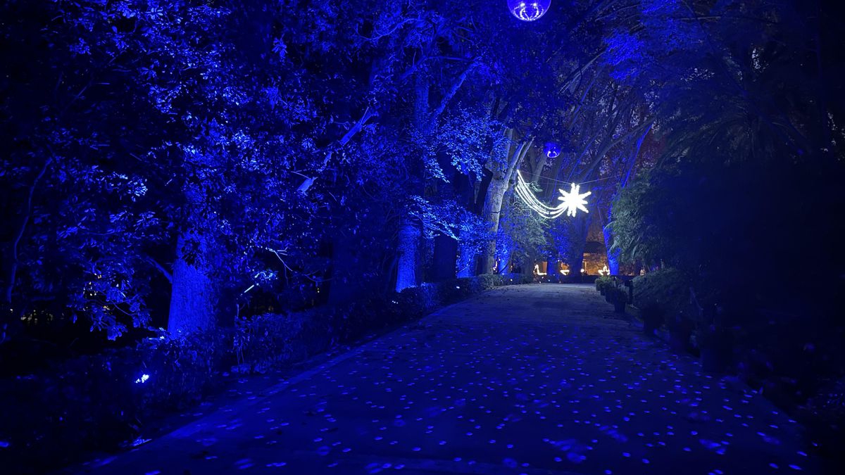 Espectáculo de luces de Navidad en la finca de La Concepción.