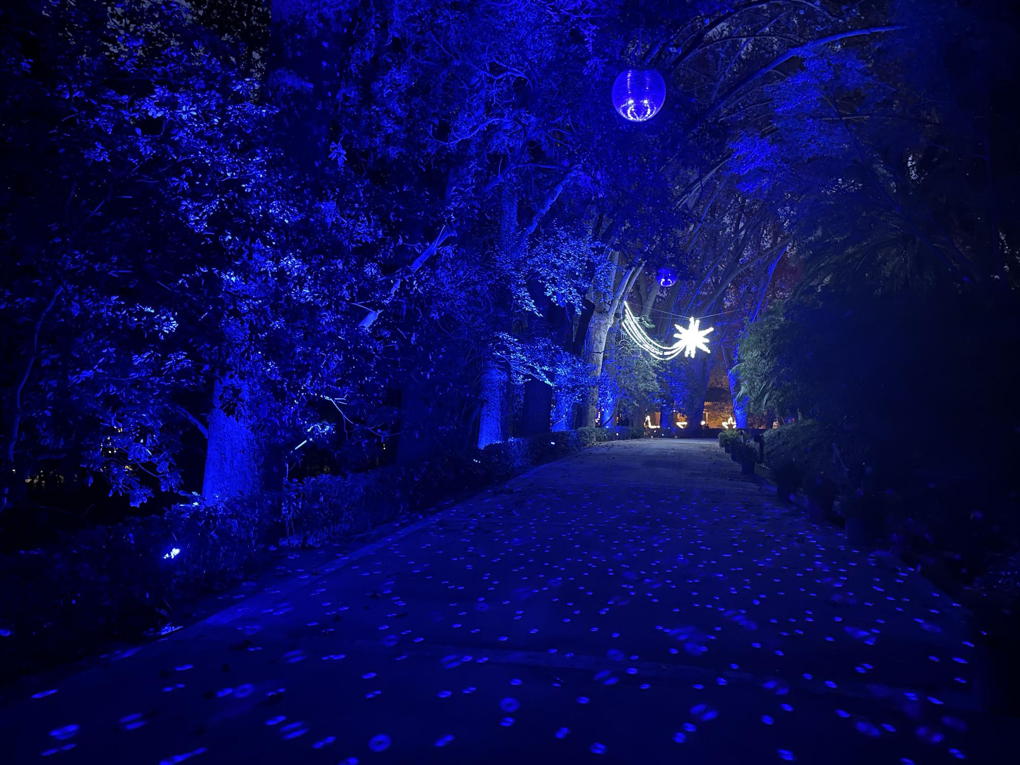 El Jardín Botánico Histórico La Concepción enciende sus luces de Navidad