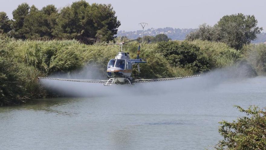 Un helicÃ³ptero fumiga contra el mosquito tigre.