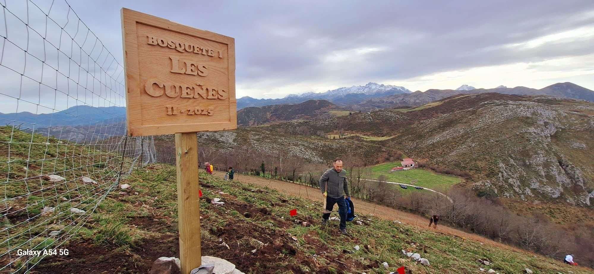 Plantación de 500 árboles en Les Cuerries, Cangas de Onís