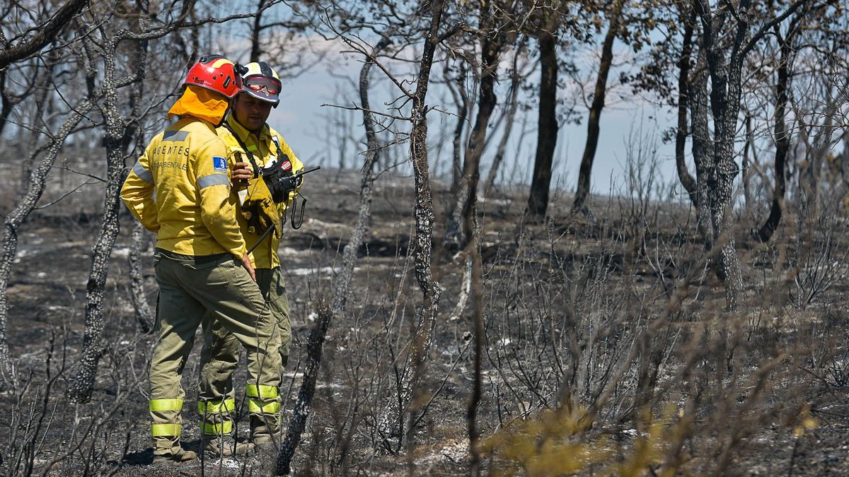 Buena evolución de los incendios gracias a las mejores condiciones meteorológicas.