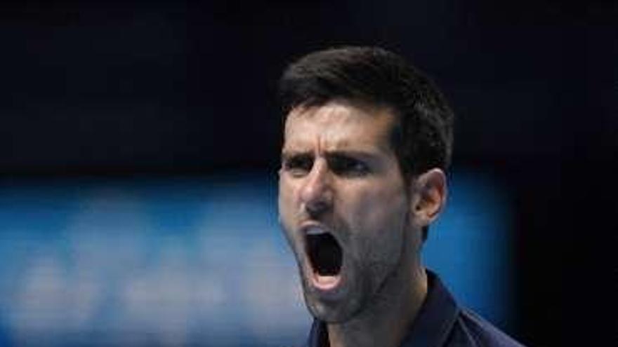 Novak Djokovic. // Tony O&#039;Brien