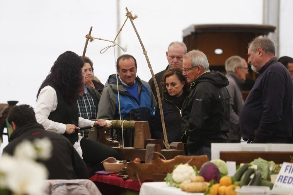 Castrillón, de fiesta por San Isidro.