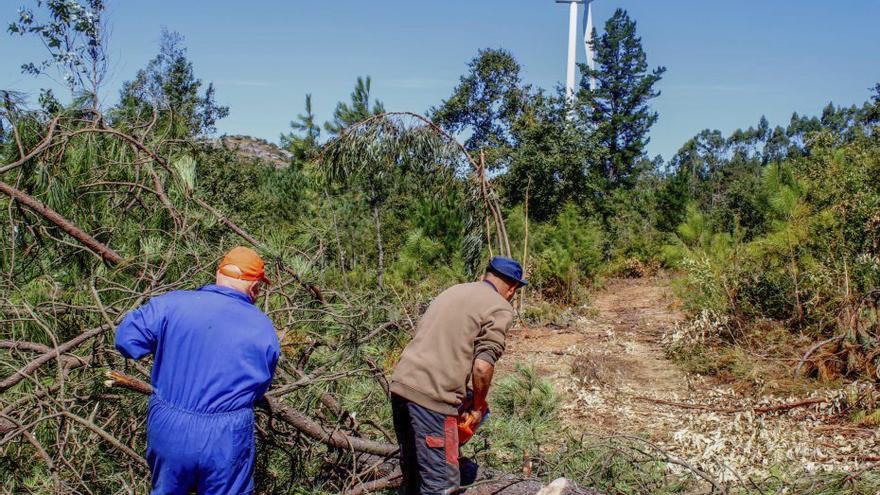 La limpieza del monte será prioritaria en tres parroquias