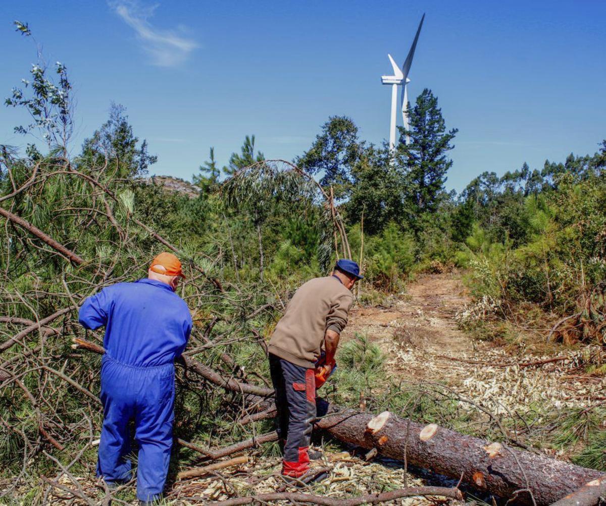 Trabajos de limpieza forestal en Xiabre. | IÑAKI ABELLA
