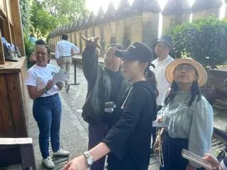 Entre Pekín y Córdoba hay cine y telenovelas y un grupo de periodistas chinos quiere contarlo