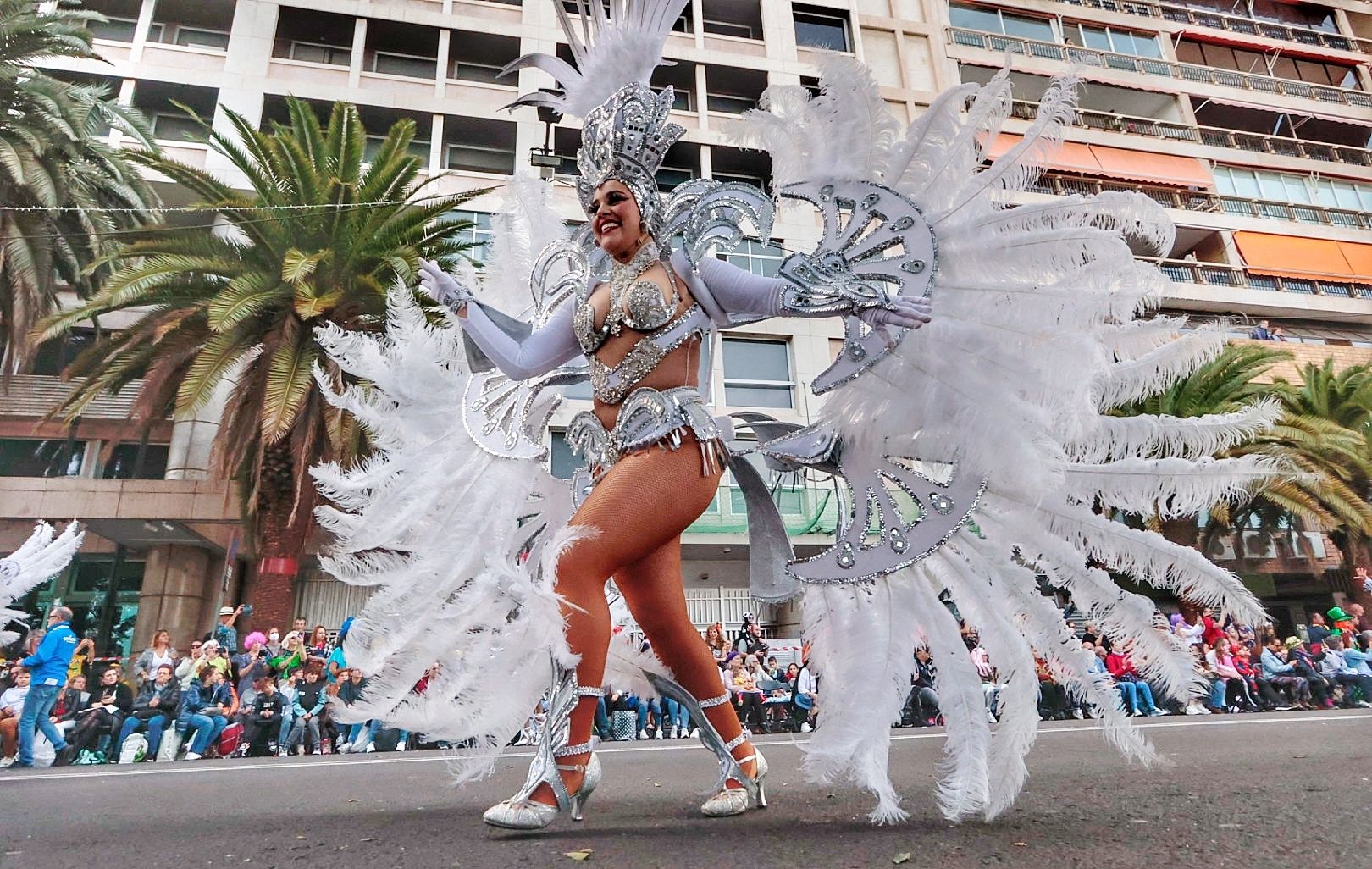 Coso del Carnaval de Santa Cruz de Tenerife