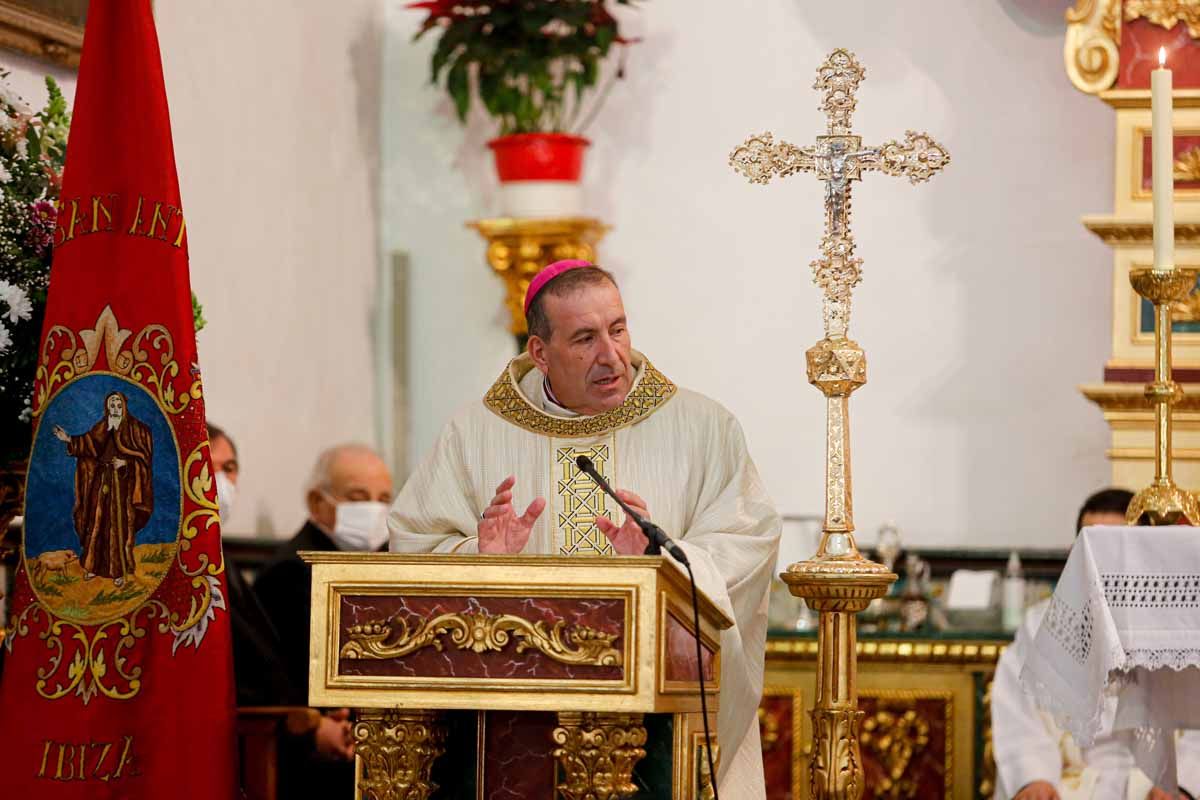 Bendición de animales en Sant Antoni