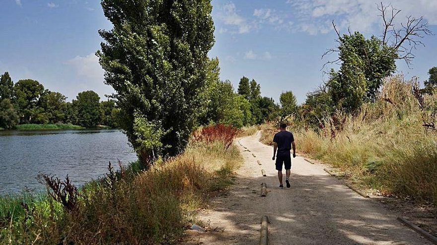 El camino de ribera de Carrascal recién habilitado. | Jose Luis Fernández