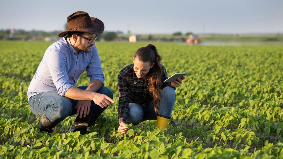 Los retos del sector agrícola