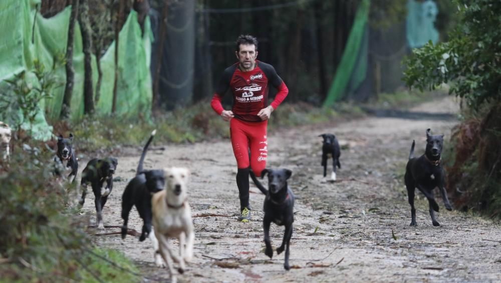 En los últimos años, el gran atleta se ha volcado en el canicross, donde corredor y perro han de competir como uno solo. // FdV