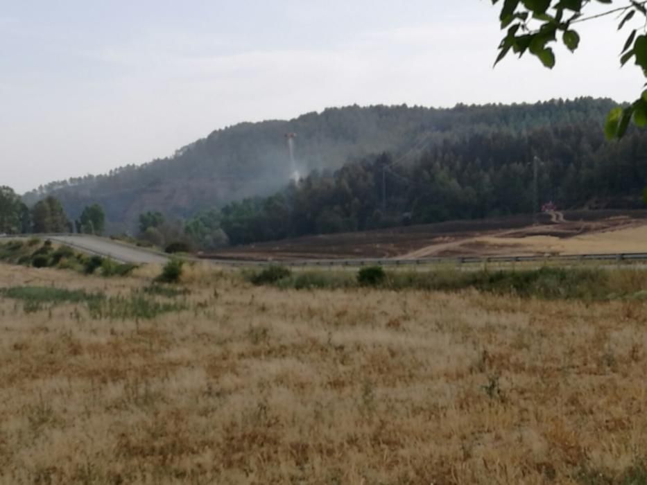 El paisatge a Avinyó, després del foc