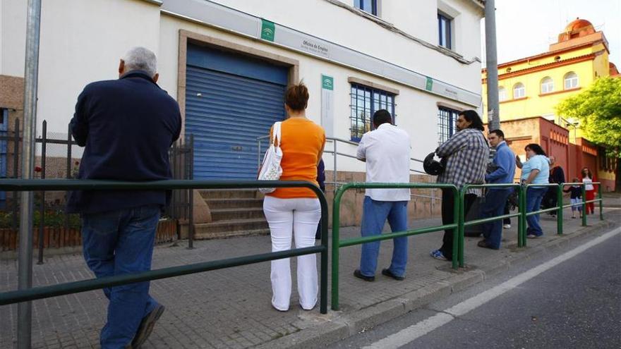 El PSOE afirma que la subida del paro en Córdoba se debe a la finalización de las campañas agrícolas