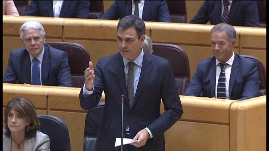 Pedro Sánchez tiende la mano al PP en el Senado