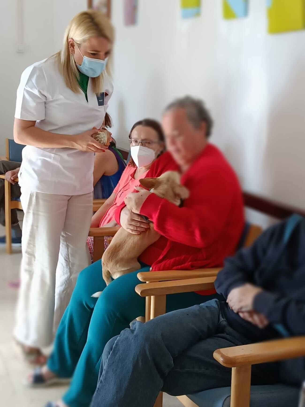 Arrugas con huellas: proyecto con mascotas abandonadas en centro de mayores