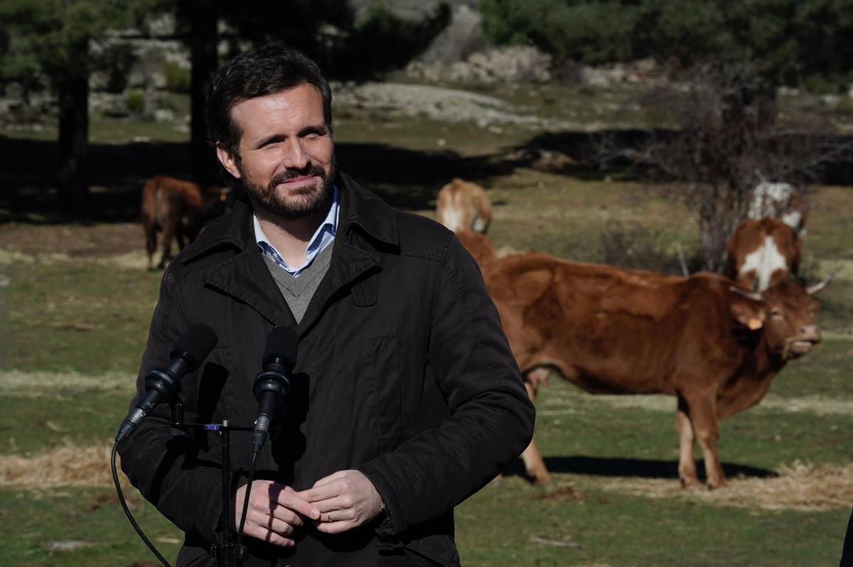 Casado defensa les macrogranges des d’un negoci amb 70 vaques a les quals «anomenen pel seu nom»