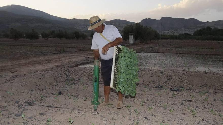 Un estudio revela que el Valle del Guadalentín es el lugar más seco de España