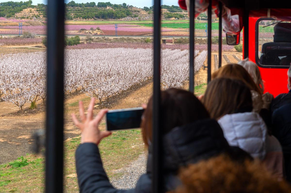 Alcarràs Florit atrae a centenares de visitantes, gracias a la película de Carla Simón