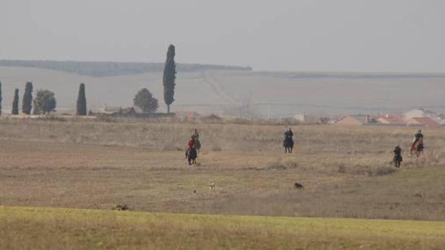 Los jueces, a caballo, persiguen a la collera.