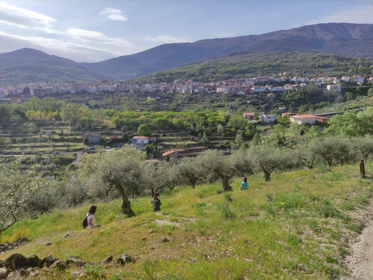 Galería | Así van las batidas para encontrar al desaparecido en Jarandilla de la Vera