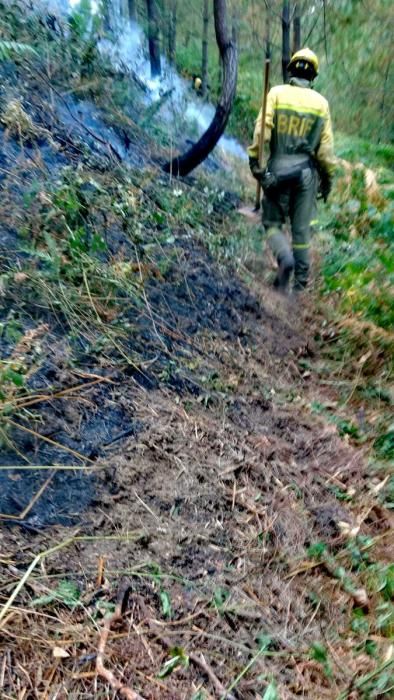 Incendio en Cangas de Narcea