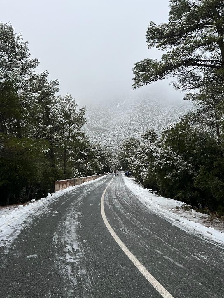 Mallorca registra la mayor nevada en cinco años