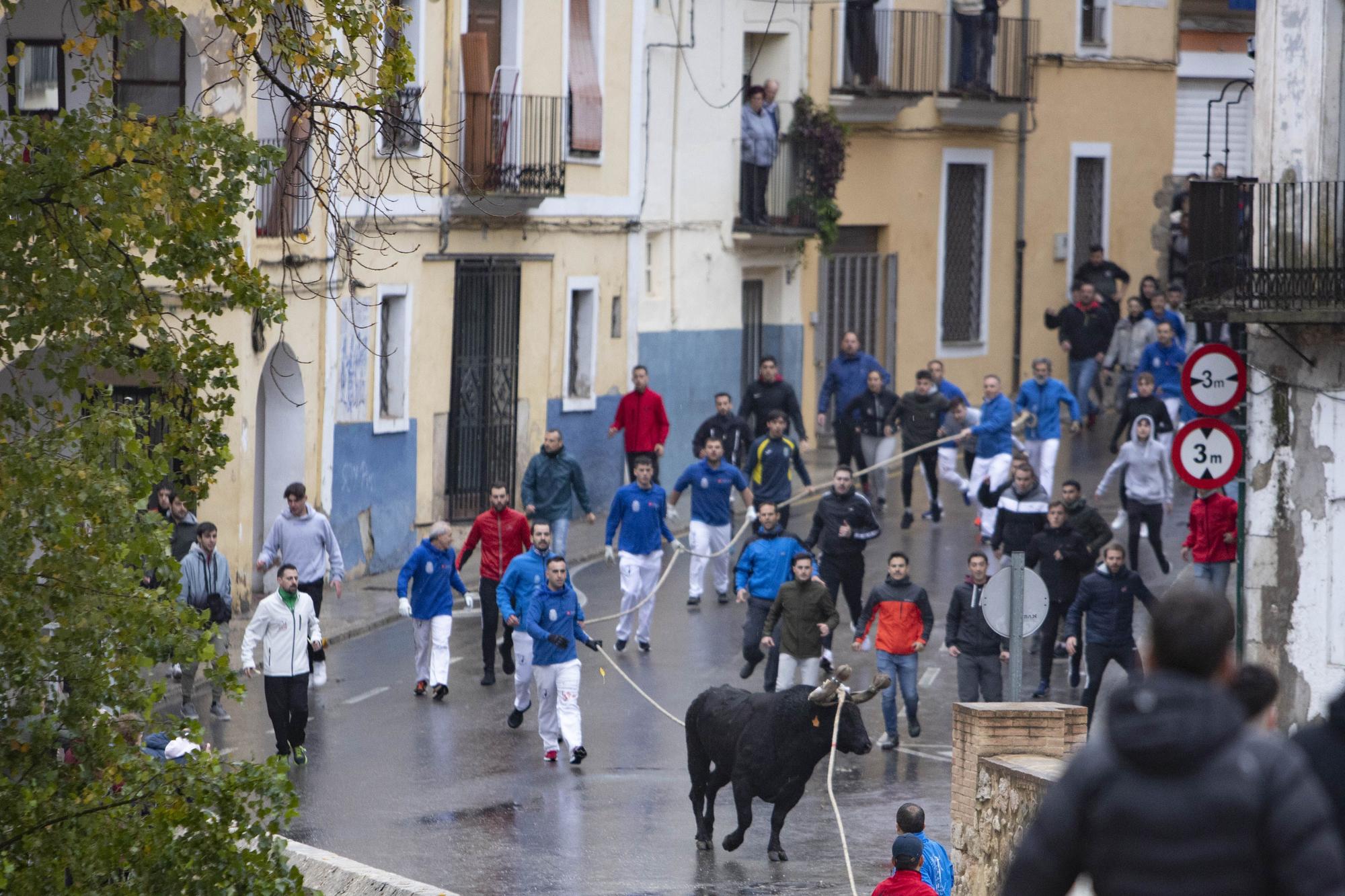 El "Bou en corda" vuelve al Pont Vell de Ontinyent