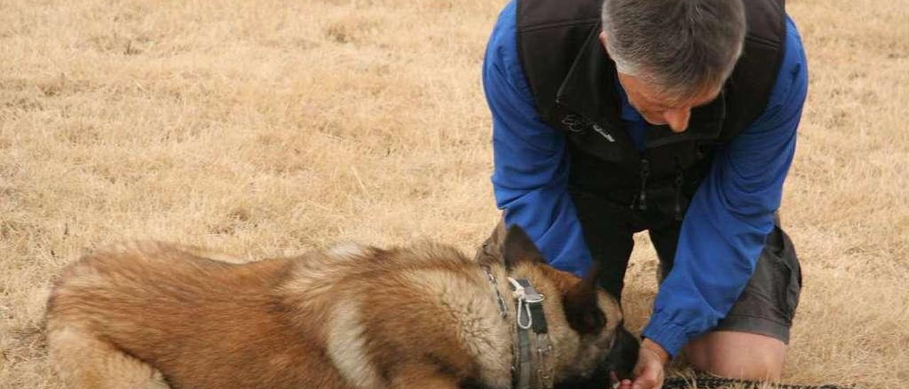 Miguel Carbajal, trabajando con un perro.