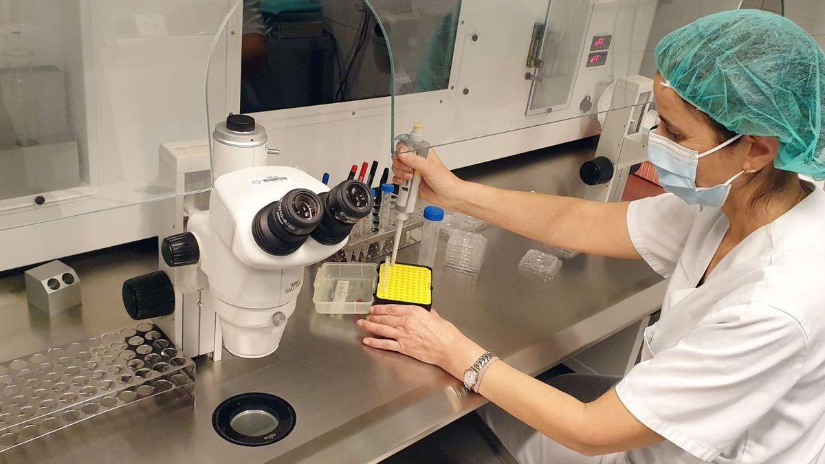Una profesional de la unidadde reproducción asistida de Vigo,en las instalaciones de Pizarro.