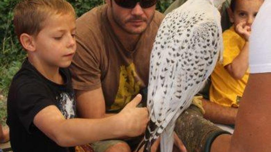 El Zoo del Pirineu centrarà el seu quart any a donar a conèixer més la falconeria