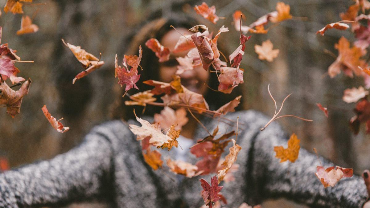 Bienestar renovado para el otoño