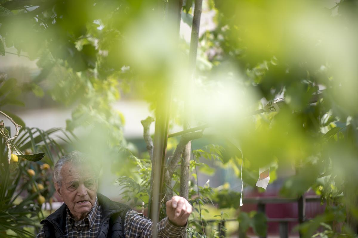 Joan Carulla (100 años), entre las hojas de parra de su azotea.