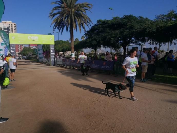 Carrera de mascotas Can We Run