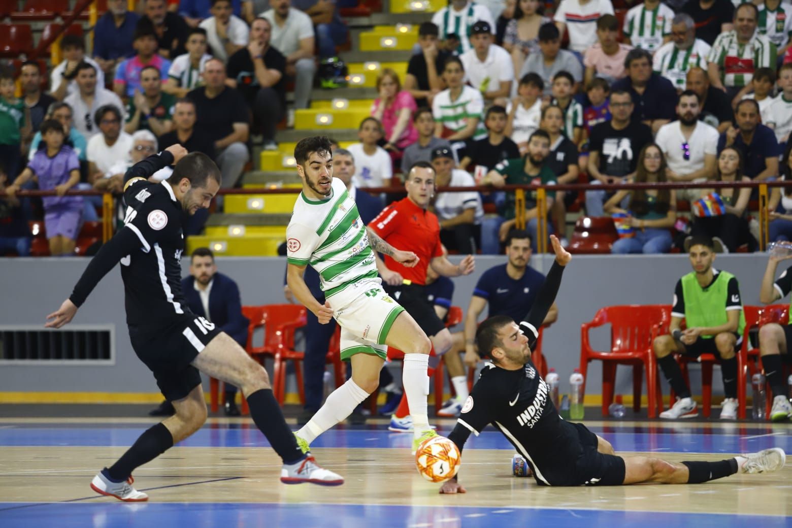 Córdoba Futsal Industrias-Santa Coloma, en imágenes