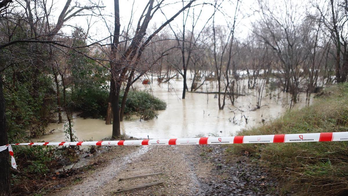EN VÍDEO | Así está el río Gállego a su paso por Zaragoza.