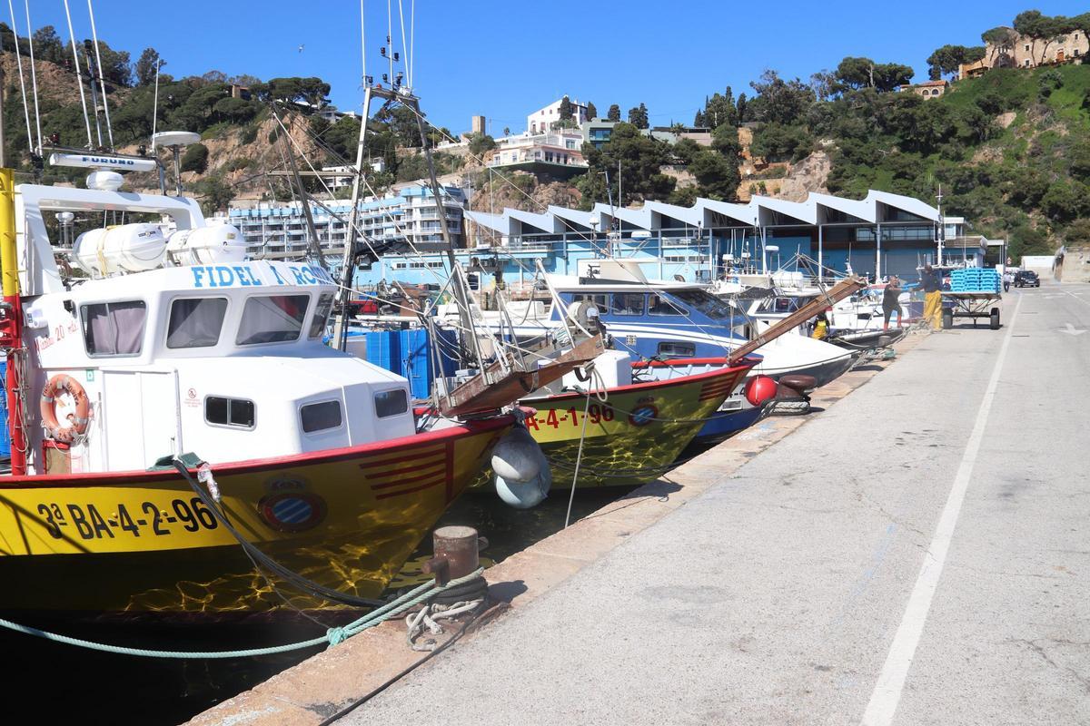 Diverses embarcacions al port de Blanes.