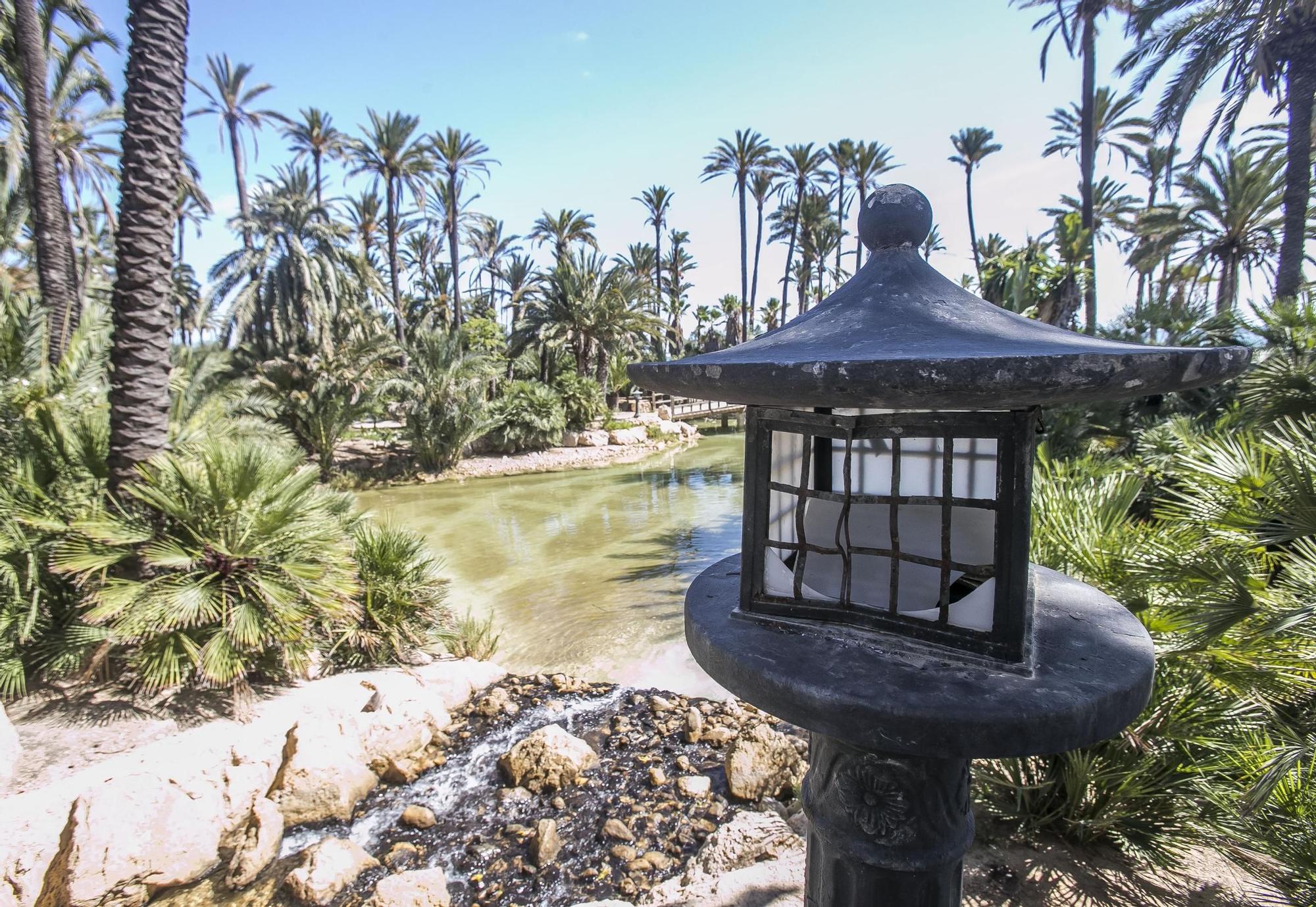 El Palmeral de Alicante, un oasis de abandono