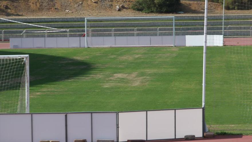 Estado del césped del Estadio de Atletismo