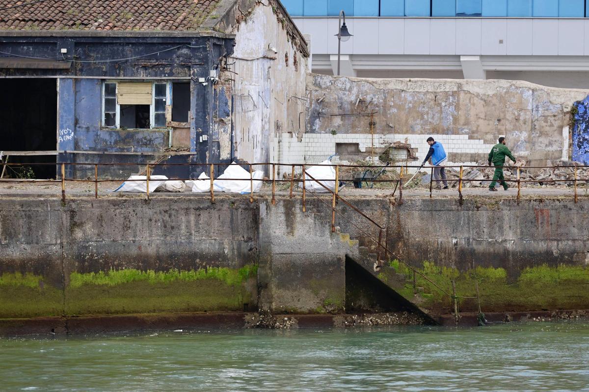 Pymar arranca los trabajos de limpieza en sus terrenos de Naval Gijón (en imágenes)