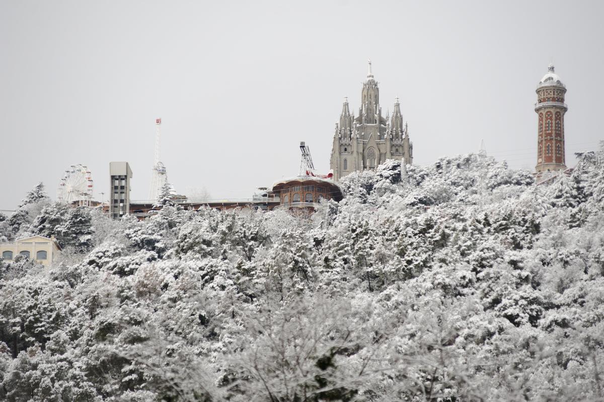 La nieve llega a Barcelona: Collserola, cubierta de blanco